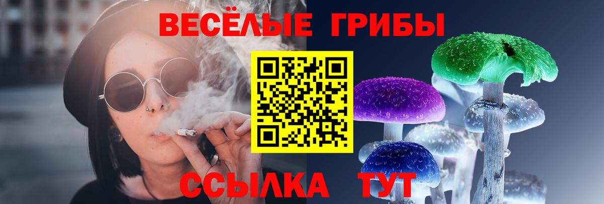 Североморск  Галлюциногенные грибы GOLDEN TEACHER  Вход с VPN  Псилоцибиновые грибы GOLDEN TEACHER 